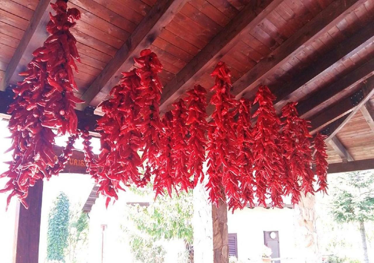 Agriturismo Acquagentile Terranova di Pollino Kültér fotó